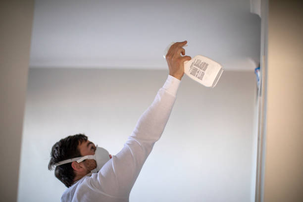 Office Mold Removal Services in Ballplay, AL